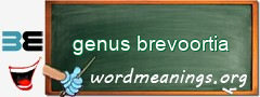 WordMeaning blackboard for genus brevoortia